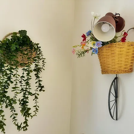 Apartament Casa Tiglio Di *