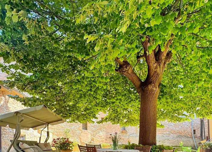 Apartament Casa Tiglio Di